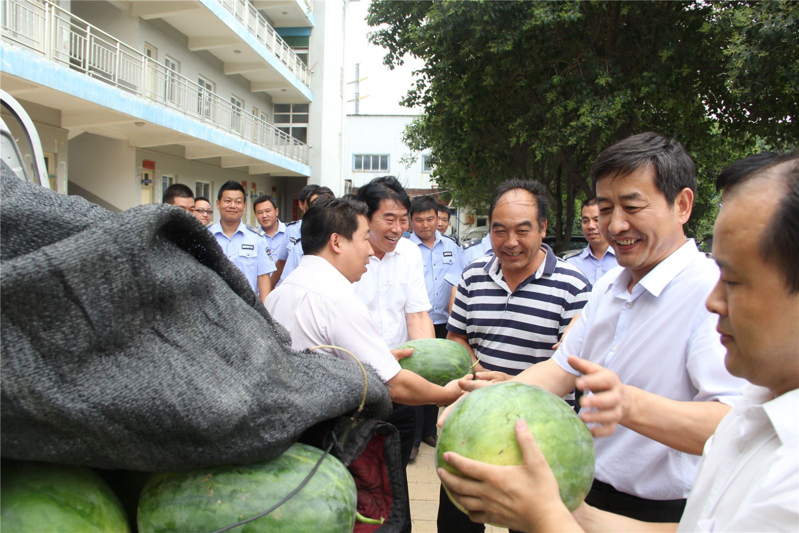 香港六宝典资料