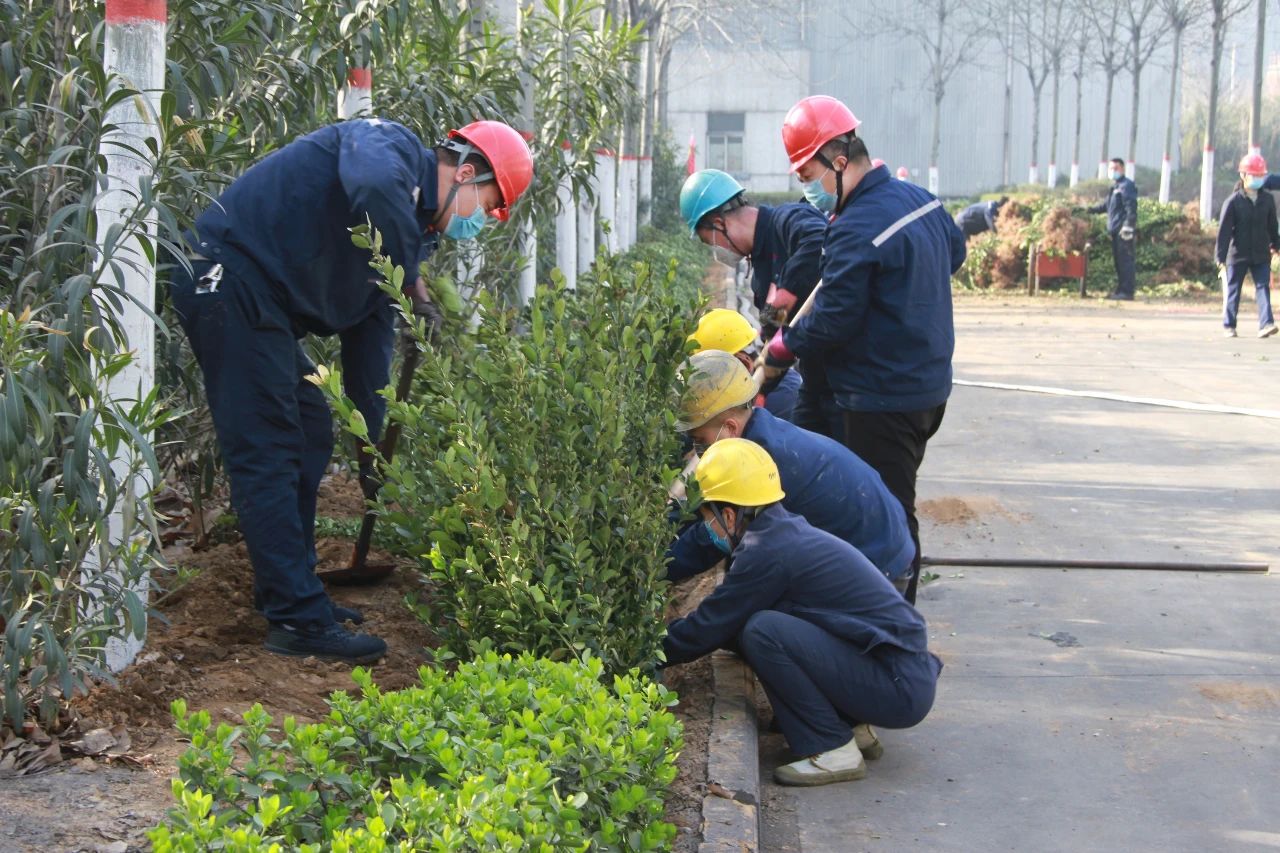 香港六宝典资料