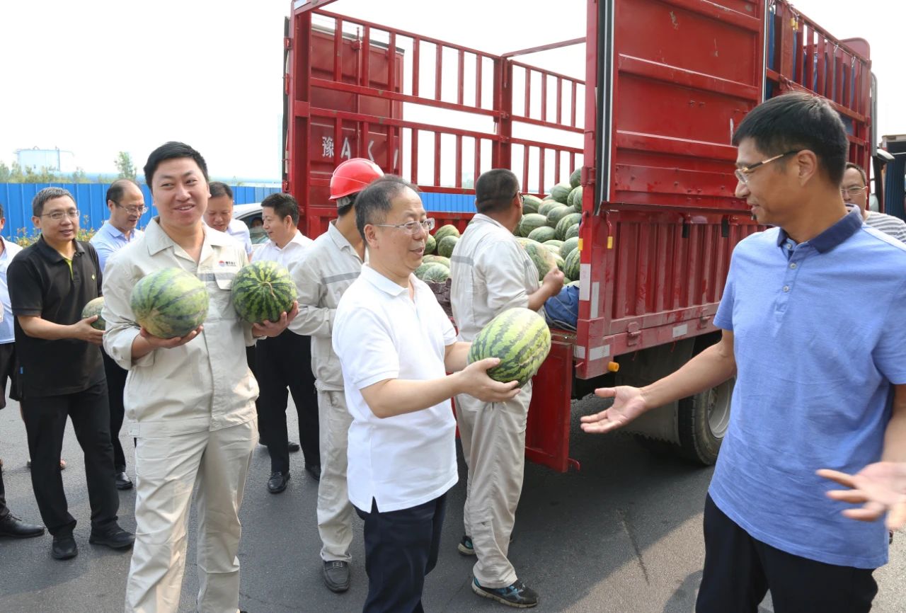 香港六宝典资料