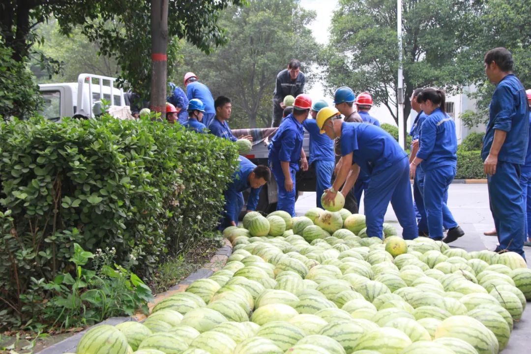 香港六宝典资料