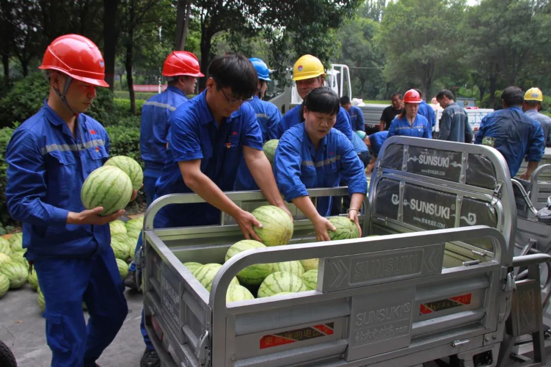 香港六宝典资料