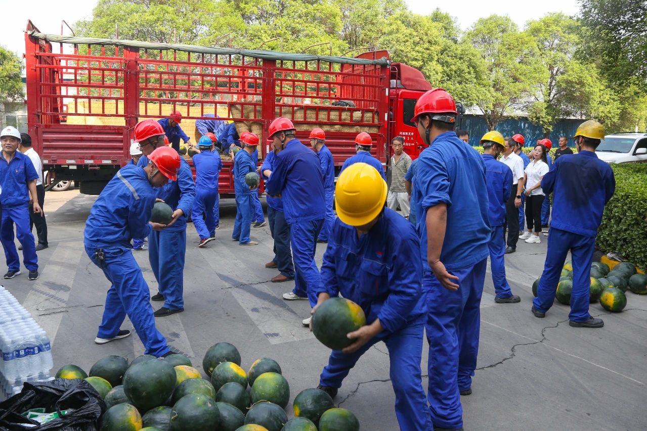 香港六宝典资料